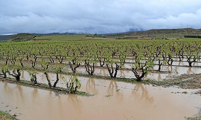 Las tormentas ponen en jaque los viñedos de Rioja Alavesa