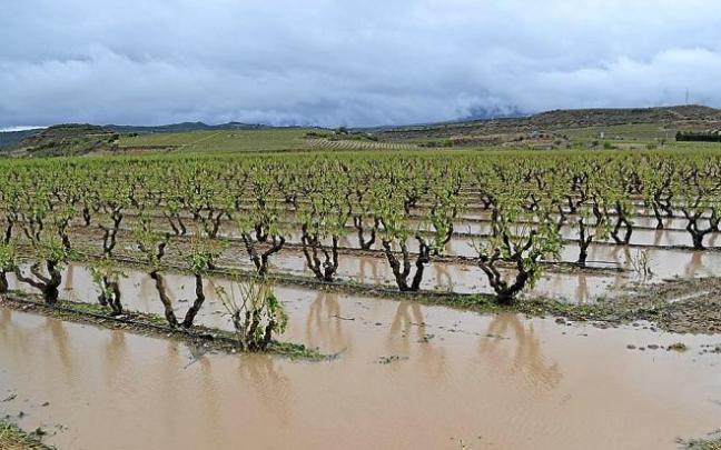Las tormentas ponen en jaque los viñedos de Rioja Alavesa