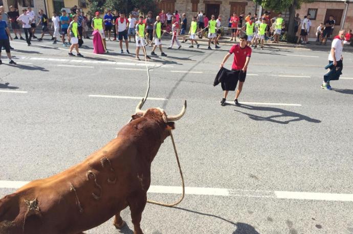 Mozos corriendo en el toro ensogado/toro con soga de las fiestas de las Angustias.