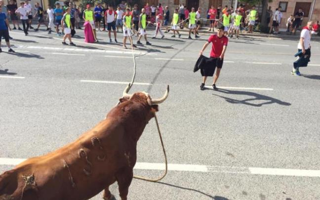 Mozos corriendo en el toro ensogado/toro con soga de las fiestas de las Angustias. Mozos corriendo en el toro ensogado/toro con soga de las fiestas de las Angustias.