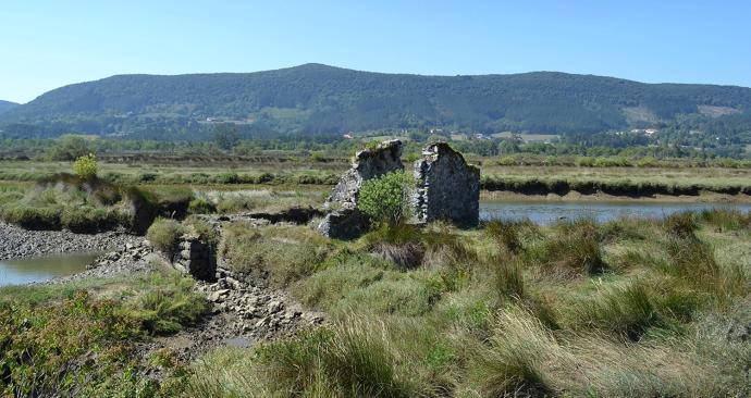 La UPV y Neiker realizarán la investigación en la Reserva de la Biosfera de Urdaibai.