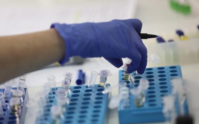 Los casos de hepatitis de origen desconocido en niños se han registrado ya en varios países. Los casos de hepatitis de origen desconocido en niños se han registrado ya en varios países.