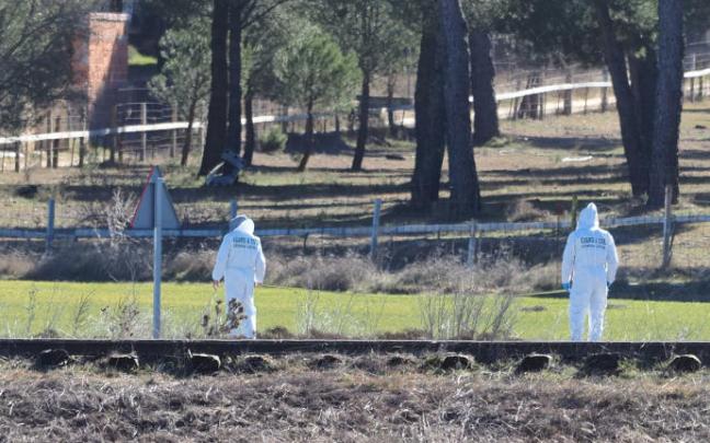 Lugar junto a la carretera en el que fue localizado el cadáver de Esther López.
