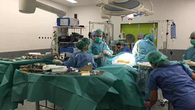 Imagen de archivo de un trasplante.