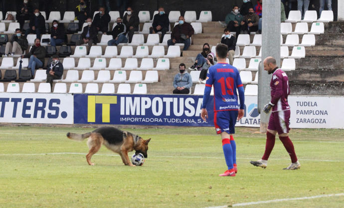 Un perro obligó a detener el encuentro cuando se llegaba al final.