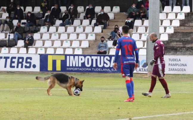 Un perro obligó a detener el encuentro cuando se llegaba al final.