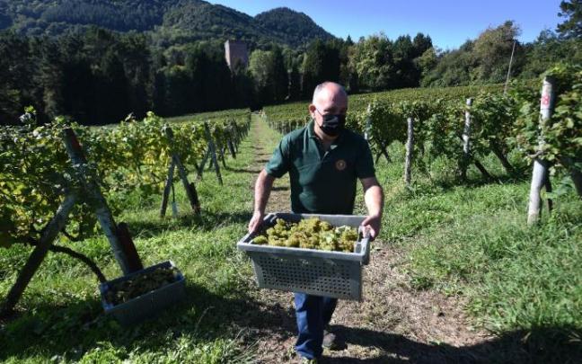 Unai Sulibarria cultiva ocho hectáreas en terrenos colindantes con la fortaleza que aloja la colección de Rolls Royce y coches clásicos de Galdames. Fotos: José Mari Martínez