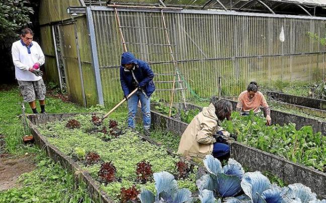 Hainbat pertsona Uliako parkean barazkiak landatzen.