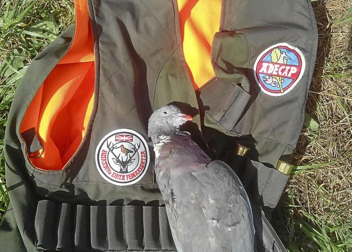 Algunos cazadores señalan que, pese al buen momento de pase, cada uno debería autocontrolar el número de piezas. Foto: N.G.