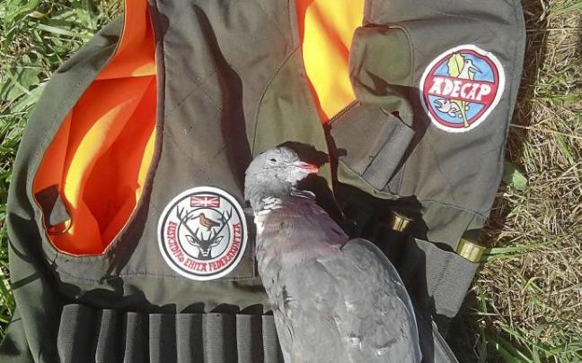 Algunos cazadores señalan que, pese al buen momento de pase, cada uno debería autocontrolar el número de piezas. Foto: N.G.