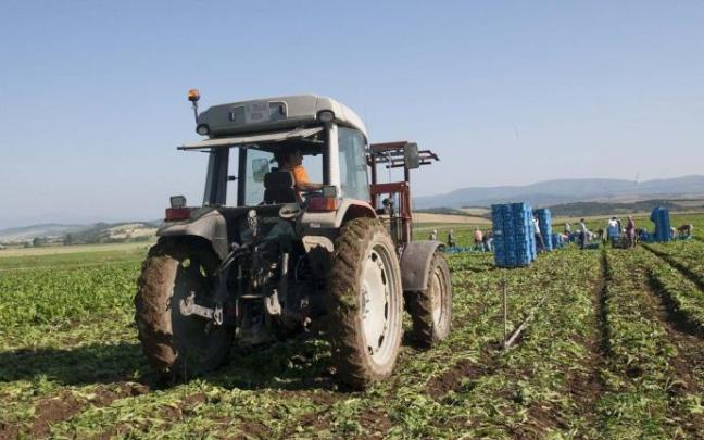 Un agricultor trabajando con un tractor. Un agricultor trabajando con un tractor.