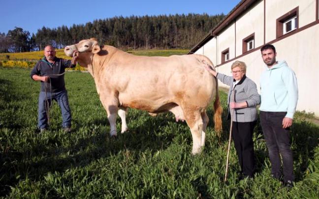 Jon Ander Zornotza, de la carnicería de Urduliz que ha comprado al animal, junto a Marieli Fano y Gorka Urrutikoetxea, del caserío Axpe de Urduliz. Jon Ander Zornotza, de la carnicería de Urduliz que ha comprado al animal, junto a Marieli Fano y Gorka Urrutikoetxea, del caserío Axpe de Urduliz.