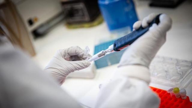 XE, la nueva variante del covid, es una combinación entre Òmicron y Òmicron silenciosa.