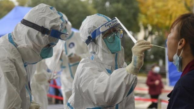 La variante ómicron no parece afectar a las pruebas PCR de detección del virus.