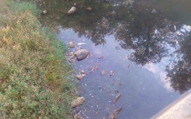 Vertido en un río. Vertido en un río.