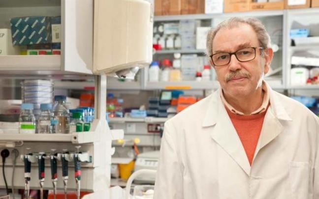 El investigador del Centro Superior de Investigaciones Científicas (CSIC), Vicente Larraga. El investigador del Centro Superior de Investigaciones Científicas (CSIC), Vicente Larraga.