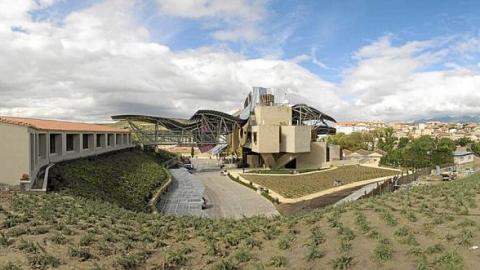 Paisaje de viñedo rodeando la icónica bodega de Marqués de Riscal, en Elciego. Foto: DNA