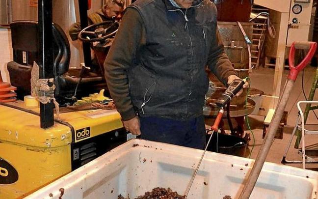 Producción de vino dulce en Bodegas Loli Casado. Producción de vino dulce en Bodegas Loli Casado.