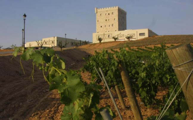 Vista de los viñedos y las instalaciones de la marca Pago de Cirsus, en el término de Bolandín.