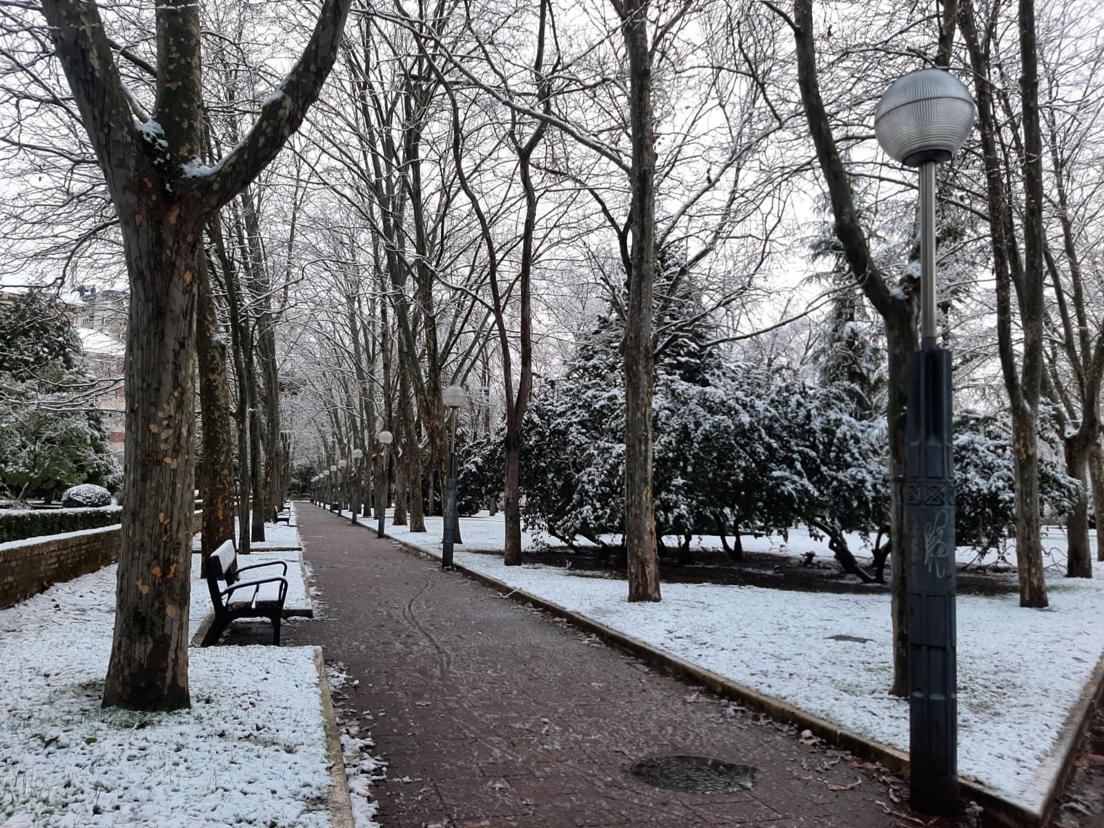 Vitoria-Gasteiz esta mañana