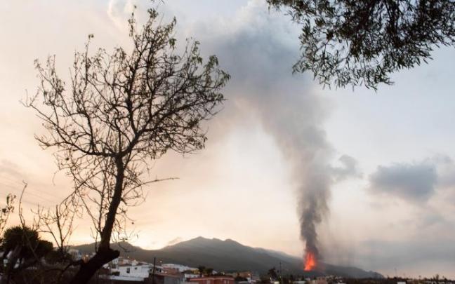 La erupción que comenzó el domingo en La Palma comienza este viernes su sexto día de actividad. La erupción que comenzó el domingo en La Palma comienza este viernes su sexto día de actividad.