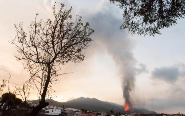 El aeropuerto de La Palma sigue inoperativo por la ceniza El aeropuerto de La Palma sigue inoperativo por la ceniza