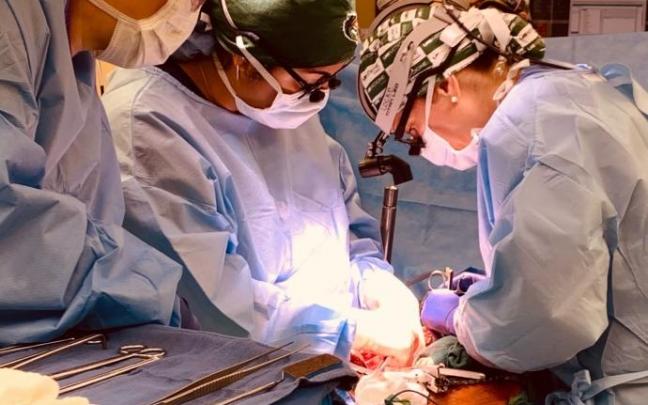 El equipo de médicos realizando el xenotrasplante de riñones de cerdo. El equipo de médicos realizando el xenotrasplante de riñones de cerdo.
