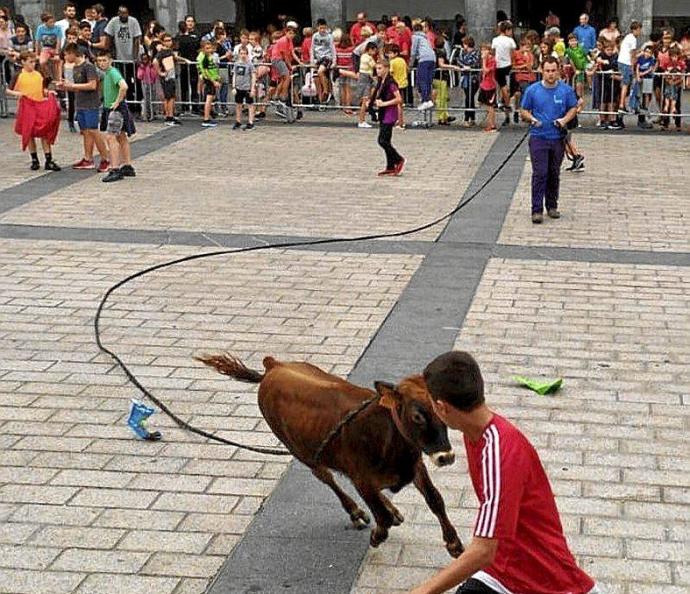 Gazte bat bigantxatik urrundu nahian, Azpeitian. Argazkia: Zezen Beltz