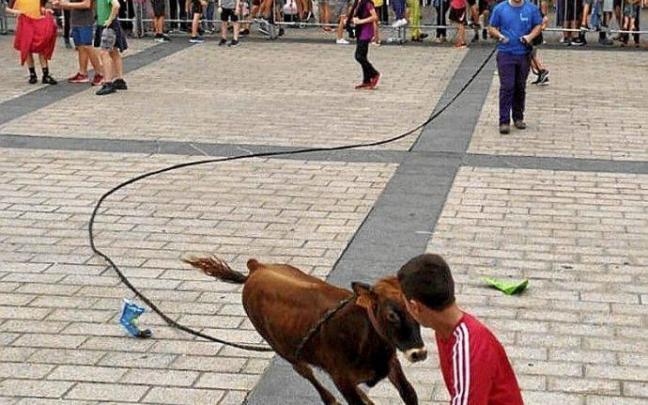 Gazte bat bigantxatik urrundu nahian, Azpeitian. Argazkia: Zezen Beltz